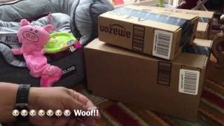 First Puppy Haul Some Gear and Toys for our new Puppy [upl. by Nanahs210]