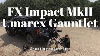 FX Impact MkII amp Umarex Gauntlet Slugs fest [upl. by Manard79]