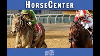 Belmont Stakes 2022 Top Picks amp Plays  HorseCenter [upl. by Odraude]