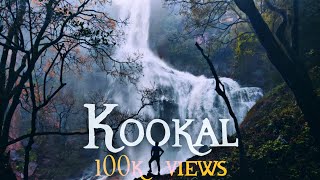 kookal Hidden Cascade  Kodaikanal Vlog  kodaikanal After Lockdown  Tamil Travel  Trek  W2TJ [upl. by Caundra]