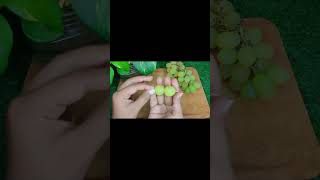 how to cut fruit in a stylish waysabiyaazhar [upl. by Ayocat]