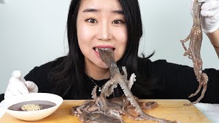 혐오주의 산낙지 통채로 먹방 mukbang [upl. by Stanway]