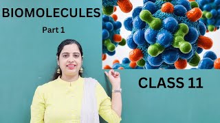 Biomolecules l Introduction l Carbohydrates l NEET 2025 [upl. by Yenterb289]