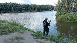 Siakap 58kg Casting seret 🎣siakap siakapputih kakapputih [upl. by Belicia]