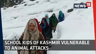 Snowfall Threat of Wild Animals These Kashmiri Students Are Braving Odds to Attend School [upl. by Janice]