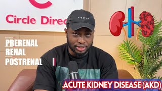 Overview of Acute Kidney Disease AKD [upl. by Ymaral600]