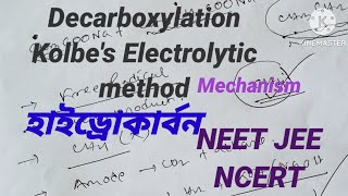 Hydrocarbon semester 2  XI  NEET JEE hydrocarbon semester2 classxichemistry [upl. by Aikenahs]