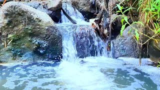 Majestic Babbling Streams Soothe the Soul Relaxing Natural Stream Sounds Wonderful River Sounds [upl. by Cherian]