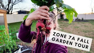 Tour my zone 7 fall garden with me to see what Im growing [upl. by Noyar818]