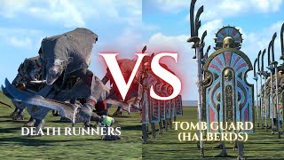 WARHAMMER III Total War  Death Runners VS Tomb Guard Halberds [upl. by Kiryt]