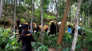 Rohingya fleeing Myanmar for lives UN says 3000 left [upl. by Ellener91]