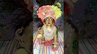 Vrindavan ke banke Bihari 🙏laddugopal balgopal shyam lddugopal krishnastatus radheshyam yt [upl. by Dnaloy896]