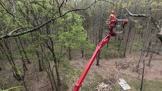 92 spider lift pruning trees in high winds [upl. by Imelida]