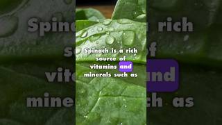 SPINACH Holds The Secret To AMAZING Health [upl. by Denna986]