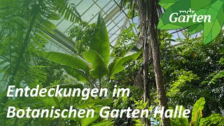 So schön ist der Botanische Garten Halle  MDR Garten [upl. by Ecinahc700]