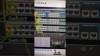 Physical look of devices in Cisco Packet Tracer ciscoccna ciscopackettracer [upl. by Agbogla270]