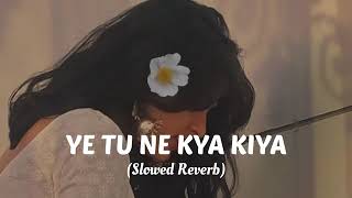 Ye Tu NE KYA KIYA ❤️ lofi music  slowed reverb lofimusic lofi [upl. by Cleo]