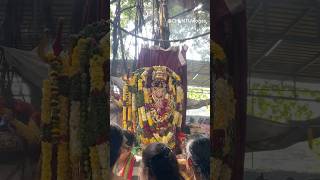 Falaknuma Kali matha🔱❤️ jaimatadi jaibhavani trendingshorts shortsfeed trending viralshorts [upl. by Jarib4]