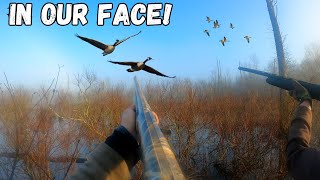 Duck Hunting A Flooded Swamp With GEESE IN OUR FACE  Duck Hunting 2024 [upl. by Nicodemus]