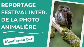 Festival international de la Photo animalière  MontierenDer [upl. by Naol]