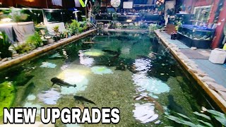 New Upgrades at OHIO FISH RESCUE  Skylar hospital update [upl. by Elisa]