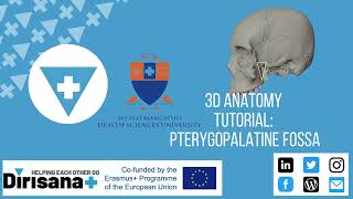 3D ANATOMY TUTORIAL PTERYGOPALATINE FOSSA amp CLINICAL RELEVANCE [upl. by Welford]