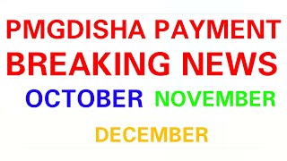 PMGDISHA BREAKING NEWS OCTOBER NOVEMBER DECEMBER PAYMENT Kar diya he [upl. by Jez66]