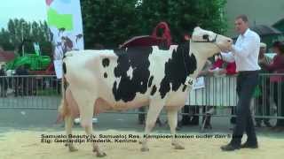 Provinciale Fokveedag WestVlaanderen AgroMarkt Gistel 2015 [upl. by Sellihca44]