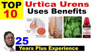 10 Urtica urens uses in Homeopathy dosage  Schwabe Urtica urens Q 30 homeopathic medicine symptom [upl. by Lynett]