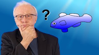 Rätsel des UNIVERSUMS Was weiß ein FISCH über das Wasser  Astrophysik amp Kosmologie 27 [upl. by Nuaj405]