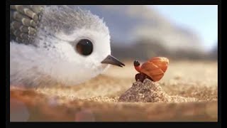 Piper  Short Movie Pixar  Hey How are you Piper [upl. by Morril]