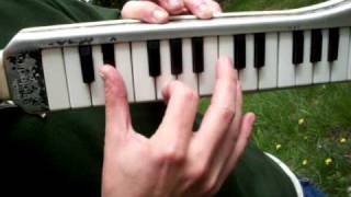 How to play a Reggae Melodica song Tutorial [upl. by Newhall]