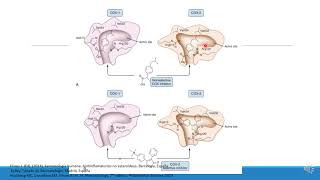 Antiinflamatorios no esteroideos AINEs [upl. by Anayit]