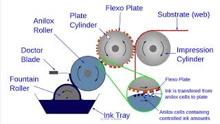 Flexography  Basic Introduction [upl. by Sivad]