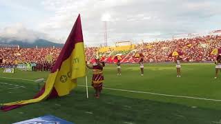 REVOLUCION VINOTINTO SUR BENGALIZA [upl. by Tut]