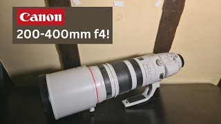 New Lens Day Canon 200 400mm f4 with 14x Convertor [upl. by Bogey]