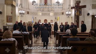 quotUn pez las nubesquot Gabriel Torres VC Esteban Tozzi  Ensayo Coral de Avellaneda [upl. by Ylecic]