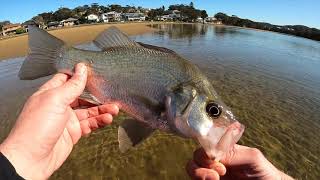 Terrigal Lagoon Fishing [upl. by Aryt]