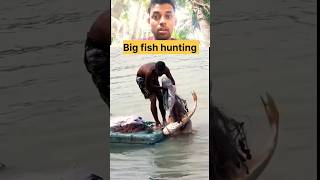 Big fish hunting 😱shorts fish youtubeshorts [upl. by Firman]