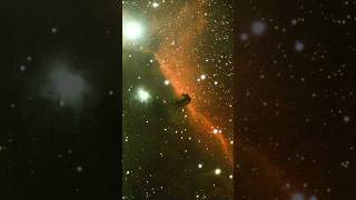 I pointed my telescope at the Horsehead Nebula astrophotography space [upl. by Christophe910]