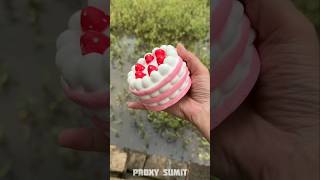 Fake Cake Prank In Dadi 🍰😂 New Viral Gadgets Smart Appliances Kitchen Utensils Home Inventions [upl. by Blaine48]