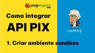 PagSeguro  API Pix  Como usar [upl. by Henriette]