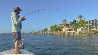 Dock Fishing For Redfish Snook amp Grouper New Weedless Shrimp Rig [upl. by Arlinda]