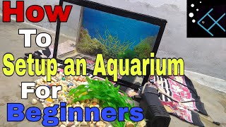 HOW TO SETUP AN AQUARIUM for beginners in Hindi [upl. by Hailee]