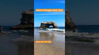 Santa Cruz Natural Bridges State Park CA USA shorts usa [upl. by Marilla]