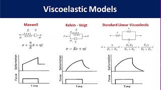 Polymer Viscoelasticity [upl. by Albertina329]