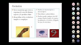 Tema1 Introducción a la parasitología y asociaciones biológicas y al espacio de aprendizaje [upl. by Aokek218]