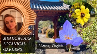 Meadowlark Botanical Gardens in Vienna VA [upl. by Blondelle]