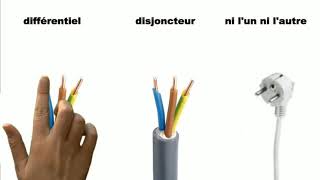 Les appareils de protection électrique [upl. by Dulce]