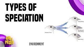 Types of speciation  Allopatric sympatric Parapatric Peripatric in Tamil II UPSC II TNPSC II [upl. by Jez]